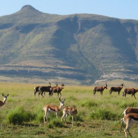 Moolmanshoek Private Game Reserve Hotel Ficksburg Buitenkant foto