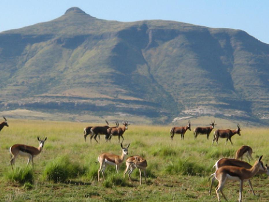 Moolmanshoek Private Game Reserve Hotel Ficksburg Buitenkant foto